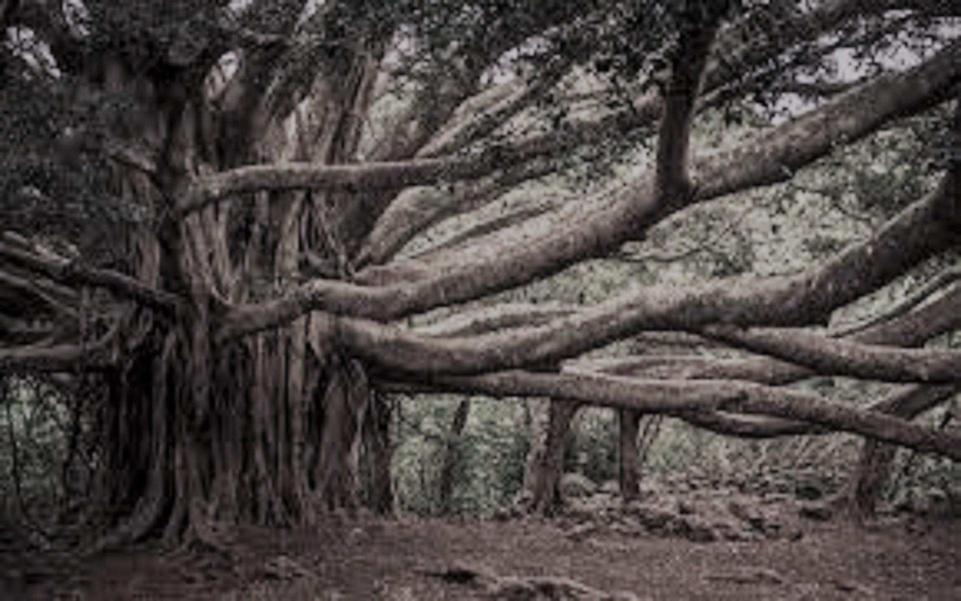 ಅವಧಾನಕಲೆಯ ಕಣ್ವ ಶ್ರೀ ಲಂಕಾ ಕೃಷ್ಣಮೂರ್ತಿ - 8